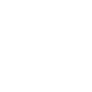 Инсинераторы мобильные